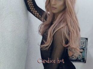 Candice_hot