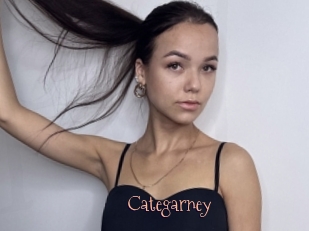 Categarney