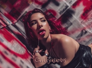 Cattleyasantos