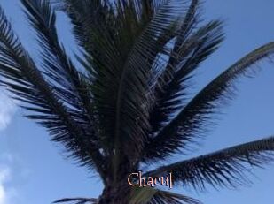 Chacul