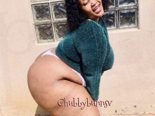 Chubbybunnsv