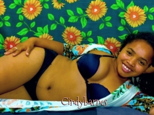 Cindybarnes