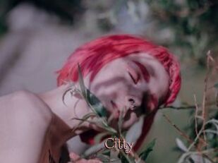 Citty