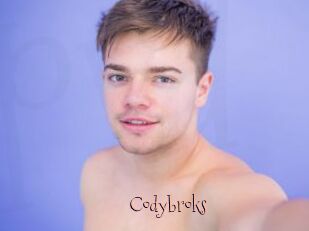 Codybroks