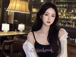 Coisinibrook
