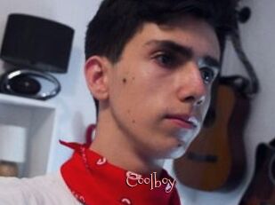 Coolboy