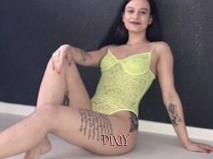 DIXIY