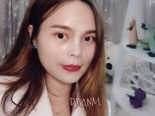 DJIANM