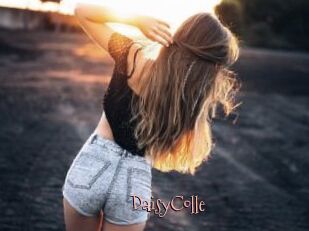 DaisyColle