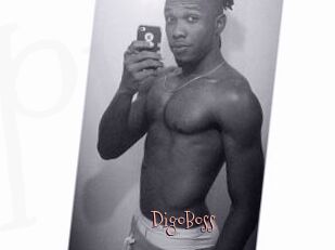 DigoBoss