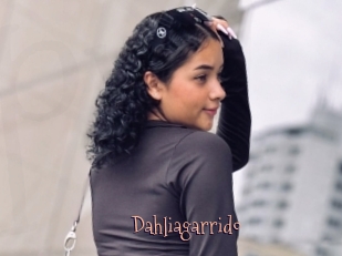 Dahliagarrido
