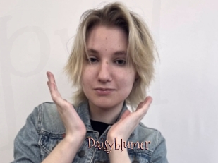 Daisyblumer