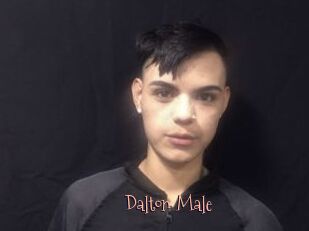 Dalton_Male