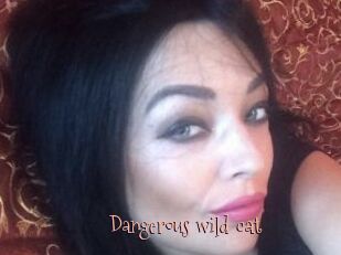 Dangerous_wild_cat