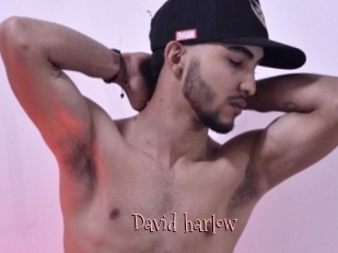 David_harlow