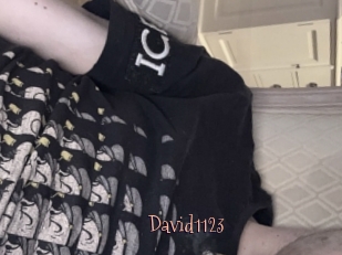 David1123
