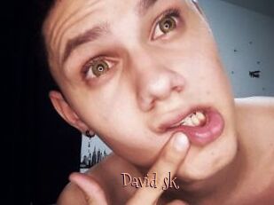 David_sk