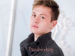 Davidniceking