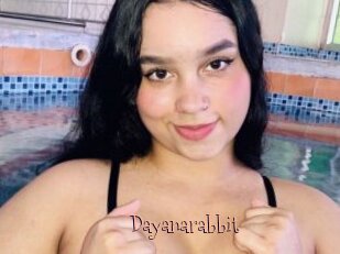 Dayanarabbit