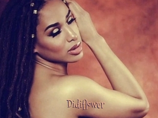 Didiflower