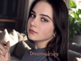 Dominoaldridge