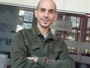 Elgab