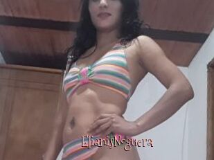 ElianisNoguera