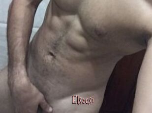 Elseesi