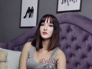 EvaBrix