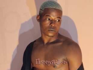 Ebonnystallion