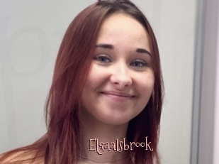 Elgaalsbrook