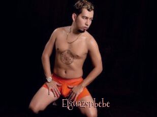 Elguazonbebe
