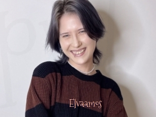 Elvaamos