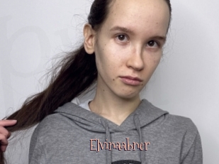 Elvinaabner