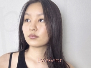 Elvinaborer