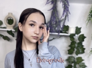 Elvinagrindle