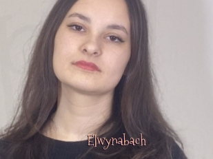 Elwynabach