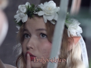 Emilywaldstein
