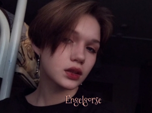 Engelgorse