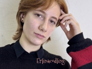 Erlinacodling
