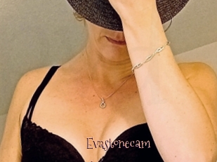 Evastonecam