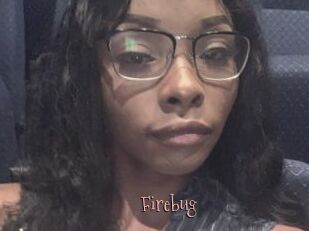 Firebug
