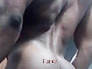 Flamin