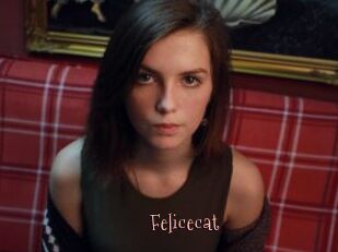 Felicecat