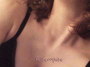 Felinecoquine