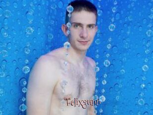 Felixgunn