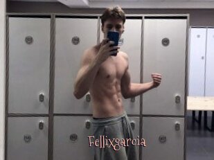 Fellixgarcia