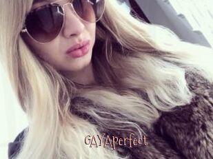 GAYAperfect