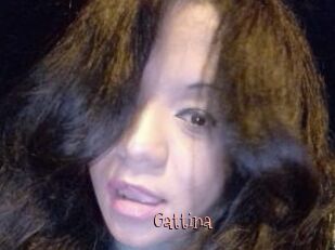 Gattina
