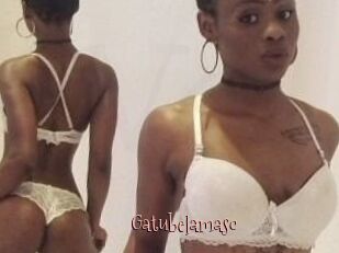 Gatubela_masc